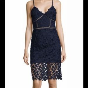 Design Lab Navy Lace Bodycon dress